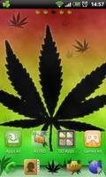 Rasta Theme for GO Launcher