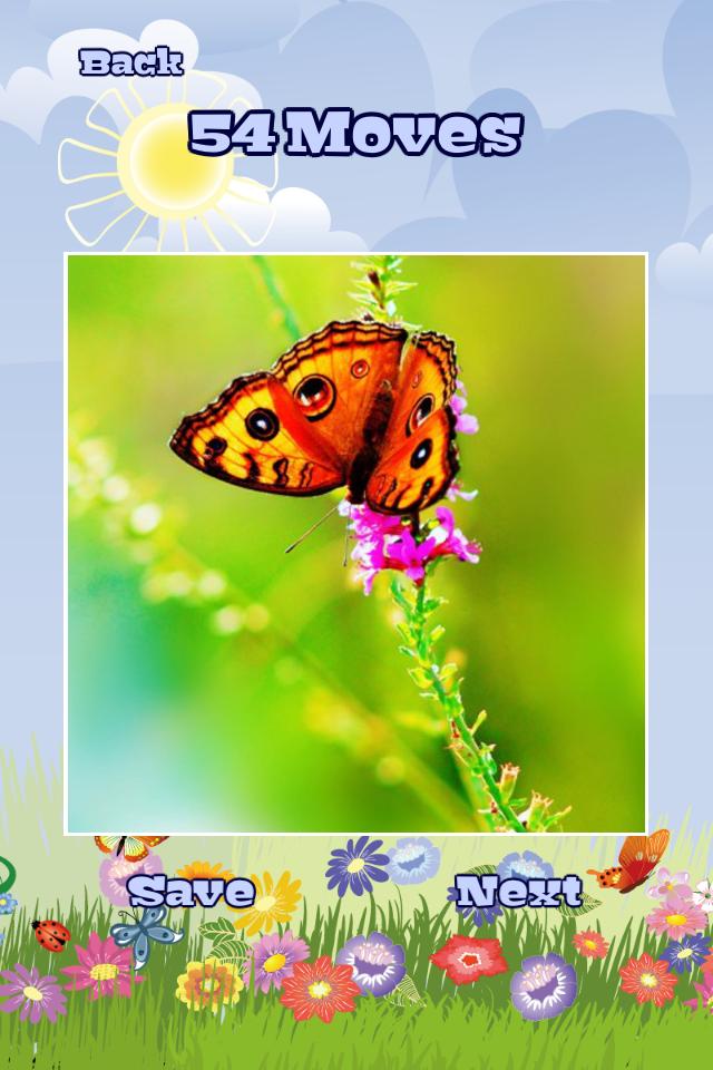 Butterfly Puzzles