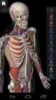 Essential Anatomy 3 for Orgs.