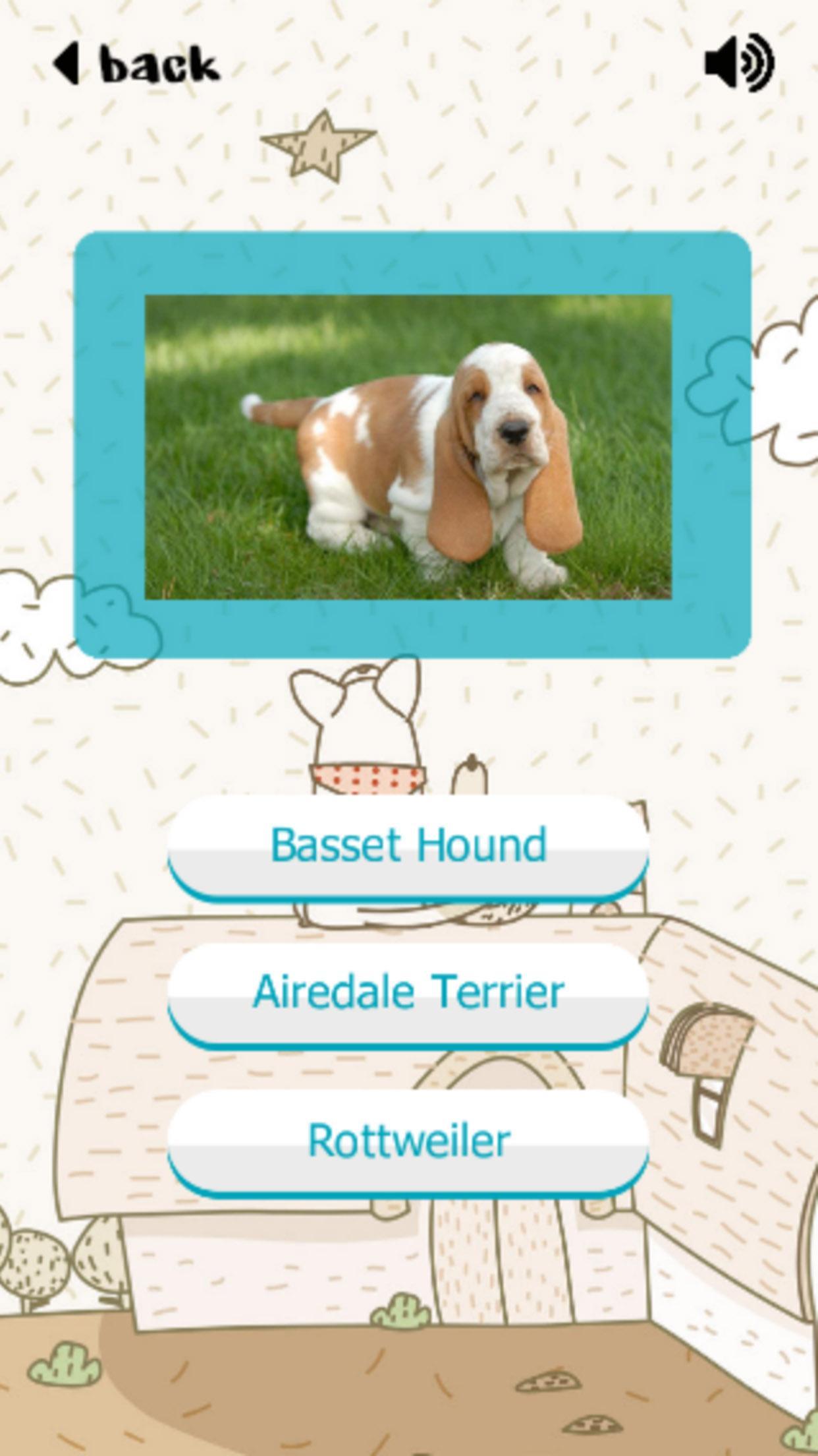 Puppy Dogs Quiz- Guess Popular Breeds