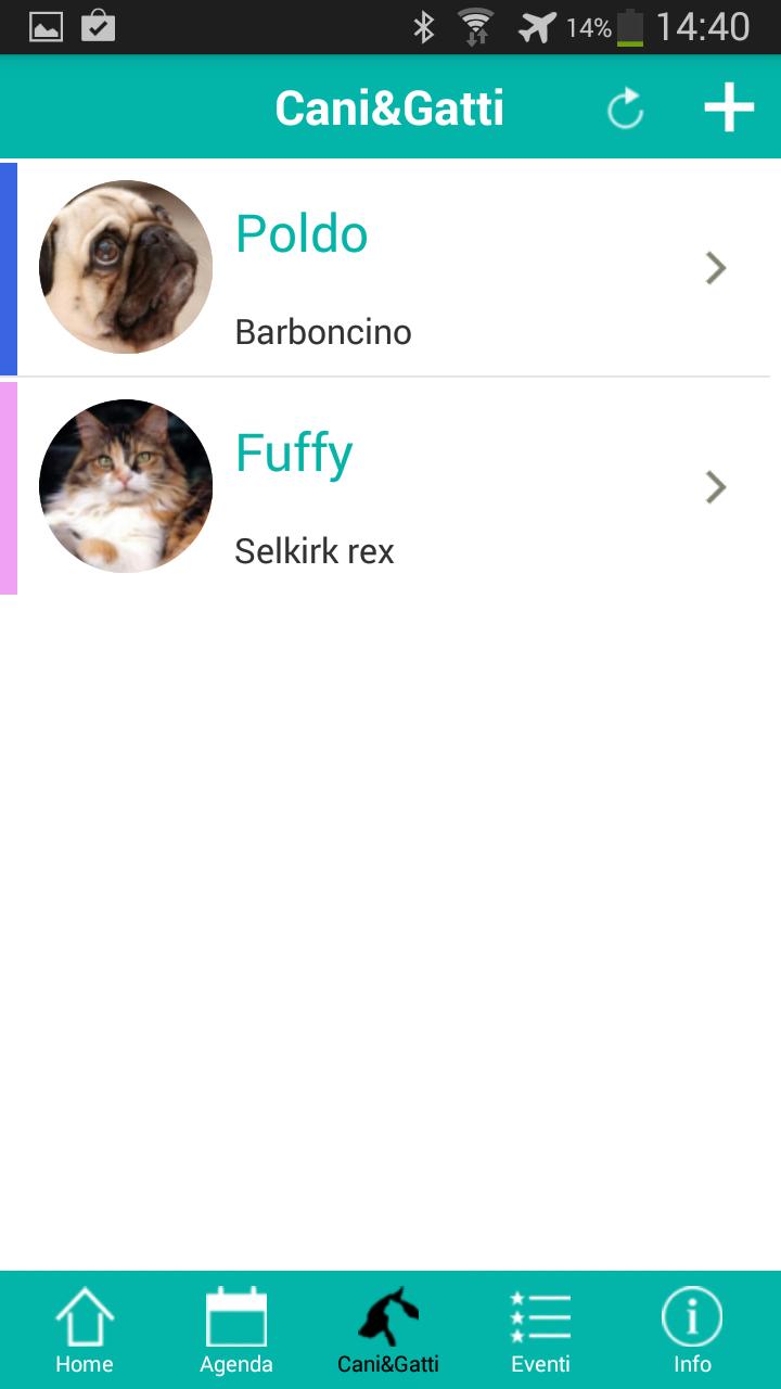 Clinica Veterinaria Gran Sasso