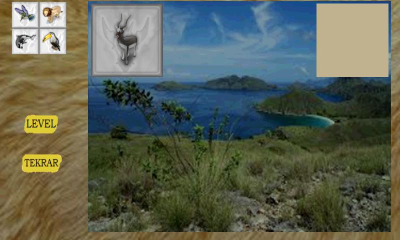 Memory Enhancement Game