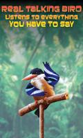Real Talking Bird
