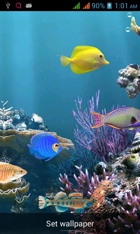 Sea Bed Live Wallpaper