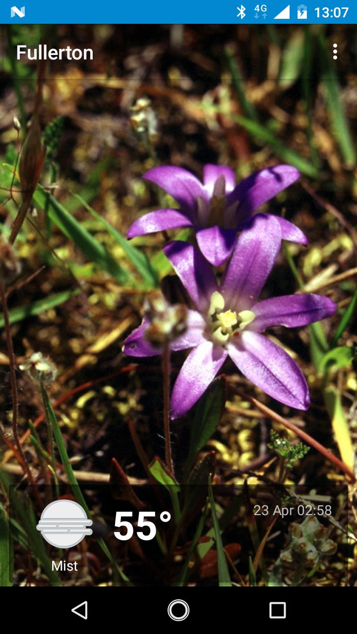 Fullerton, CA - weather and more