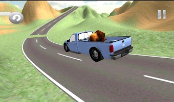 Pickup Load Carrying 3D