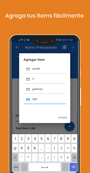 Budget Invoices Template