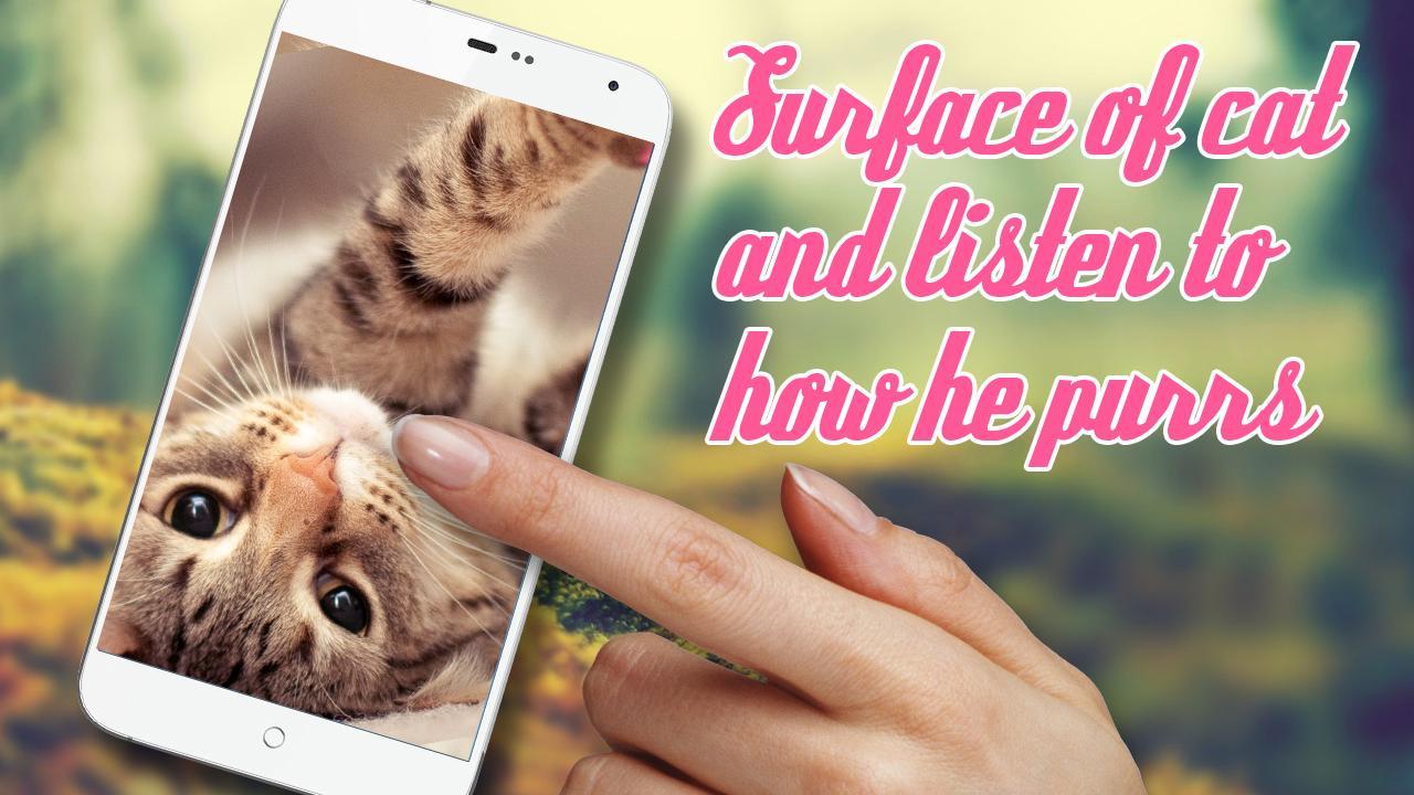 Stroke The Cat Simulator