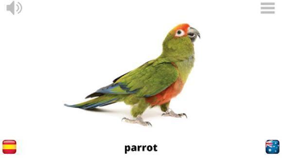 Lyrebird: Learn ANIMALS