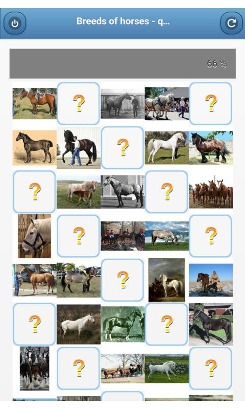 Breeds of horses - quiz