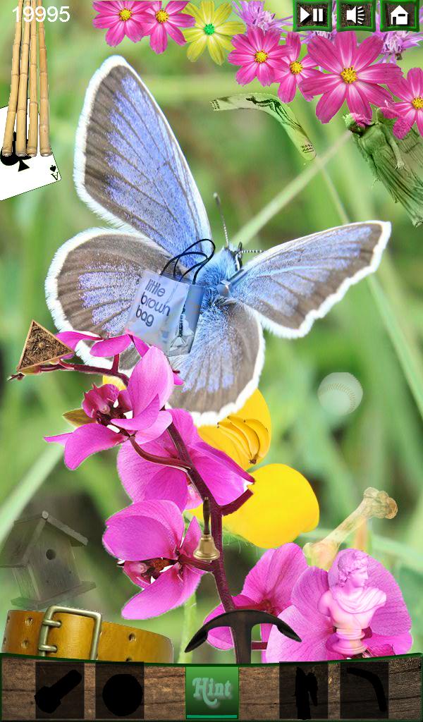 Hidden Object - Butterfly
