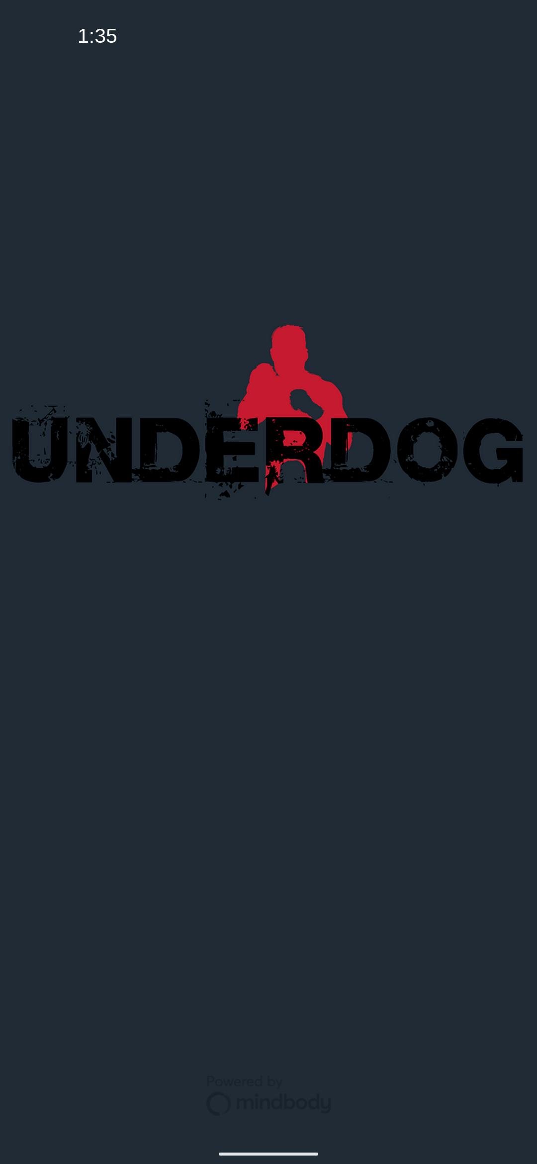 Underdog Boxing