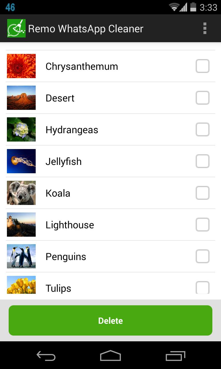 Remo Cleaner for WhatApp