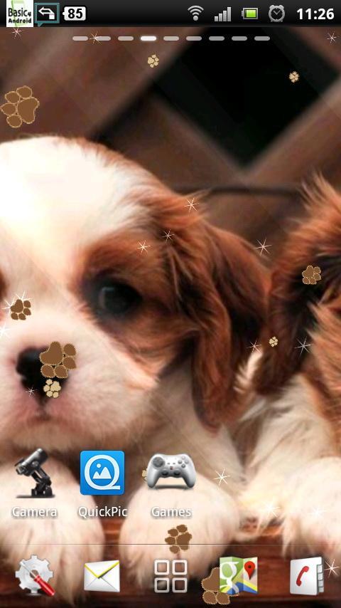 puppy dog live wallpaper