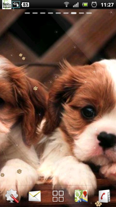 puppy dog live wallpaper