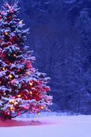 Christmas Wallpapers App