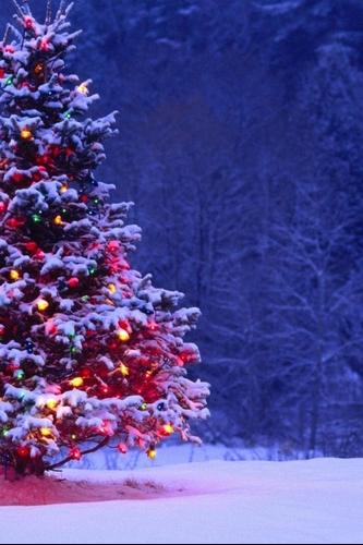 Christmas Wallpapers App