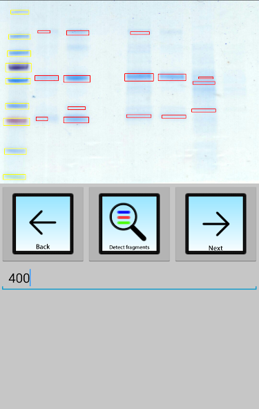 Gelapp: DNA&Prot Gel Analyzer