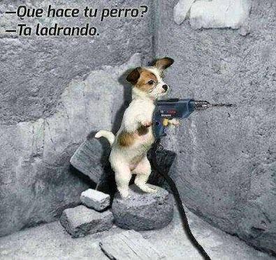 Chistes buenos para compartir