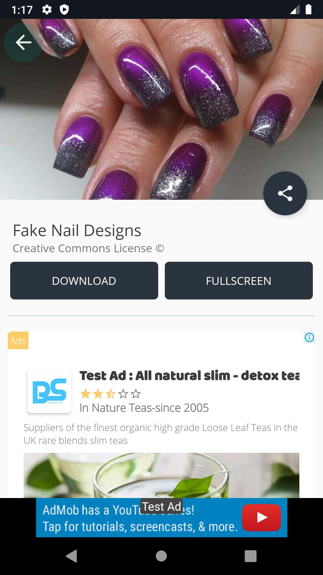 Fake Nail Designs