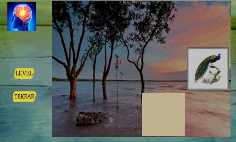 Kids Memory Game Birds