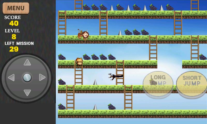 RACCOON DOG ADVENTURE