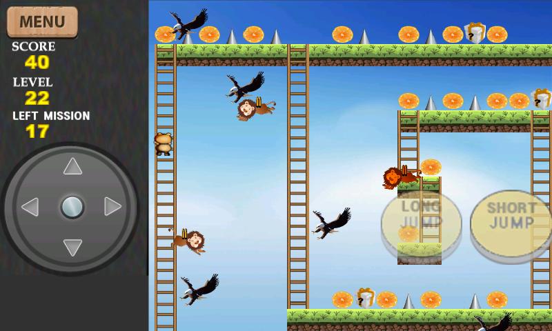 RACCOON DOG ADVENTURE