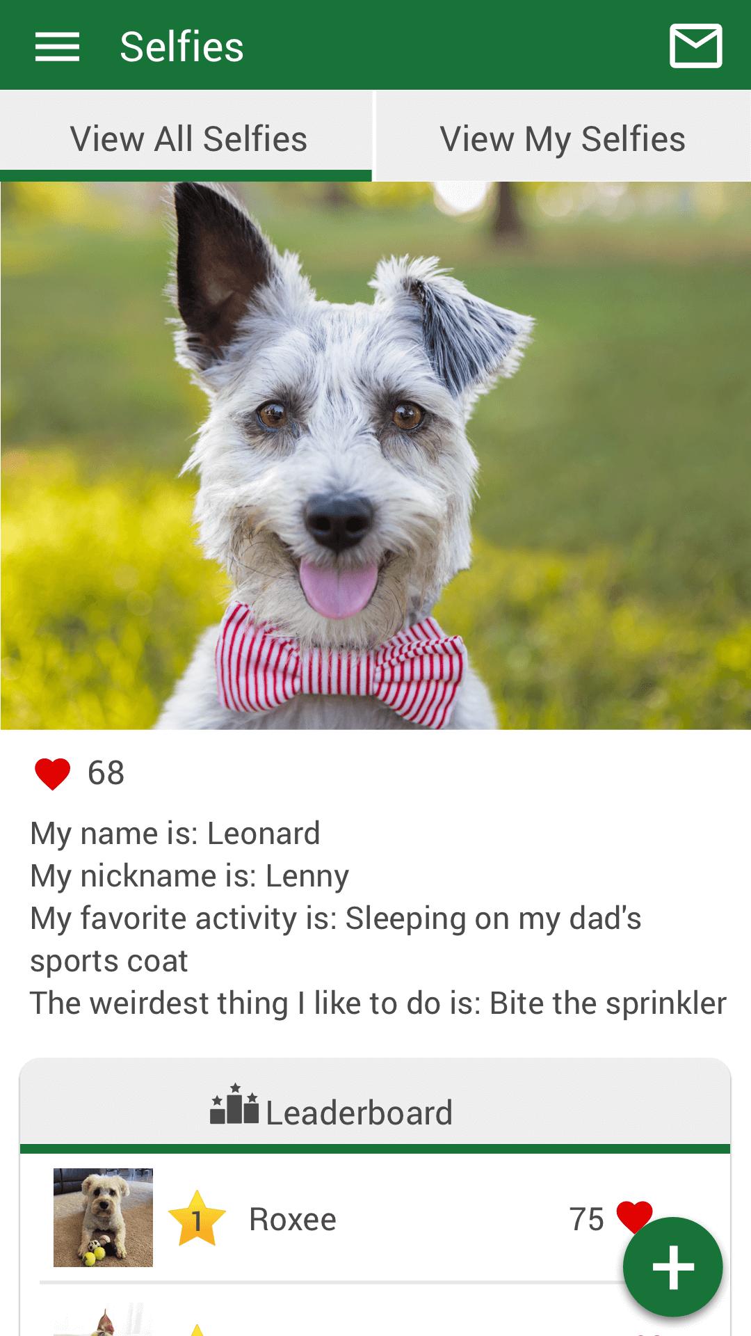 Aloha Animal Hospital