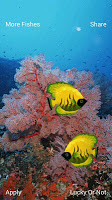 FishBowl HD Live Wallpaper