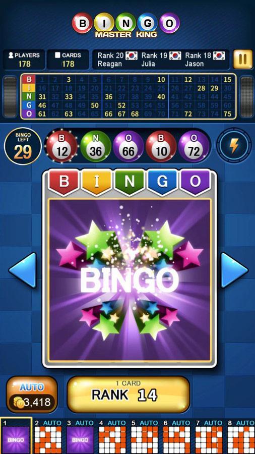 Bingo Master King