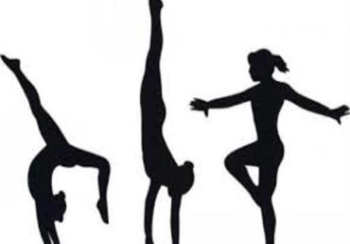 Free Gymnastics Lesson