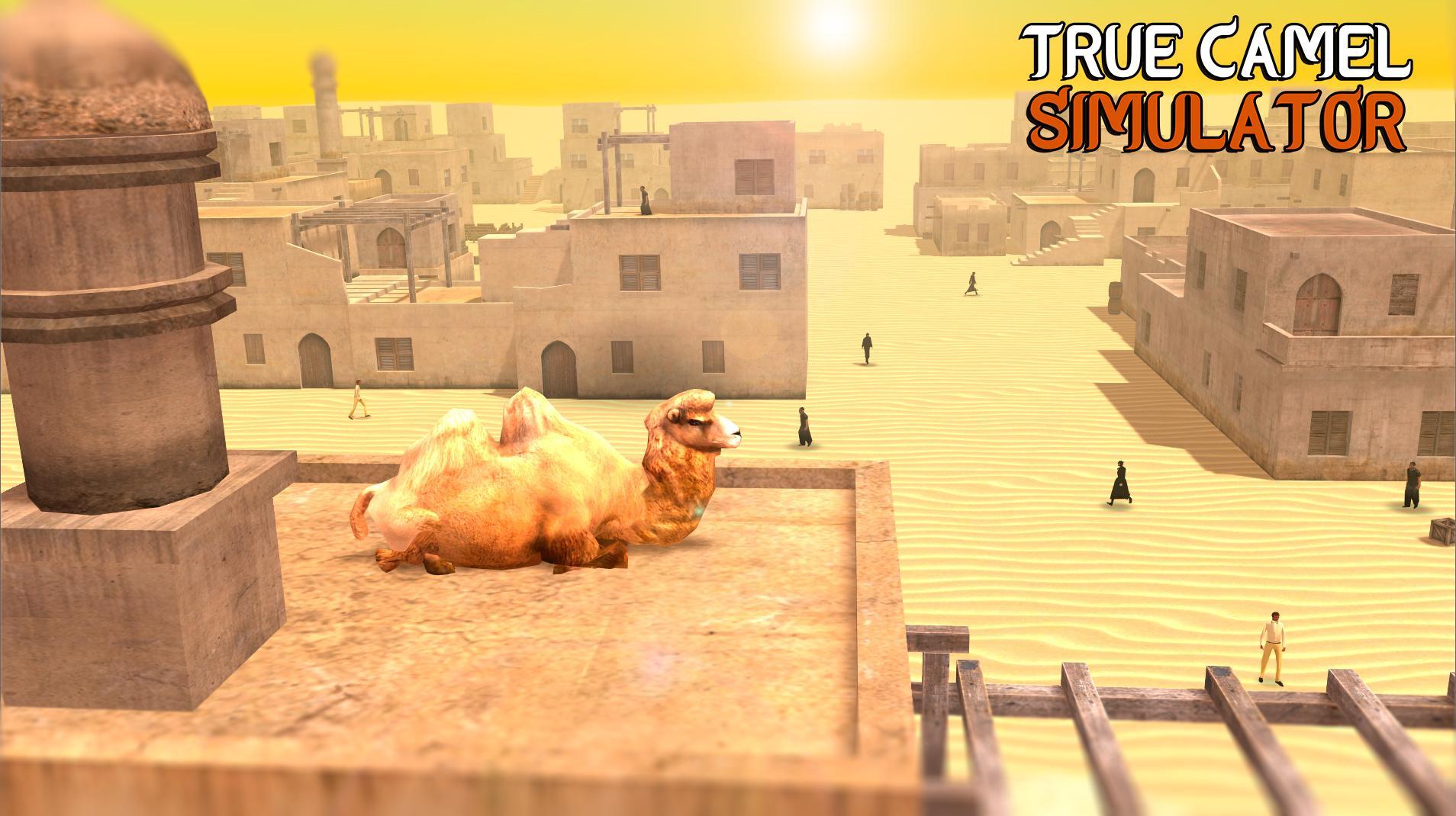 True Camel Simulator