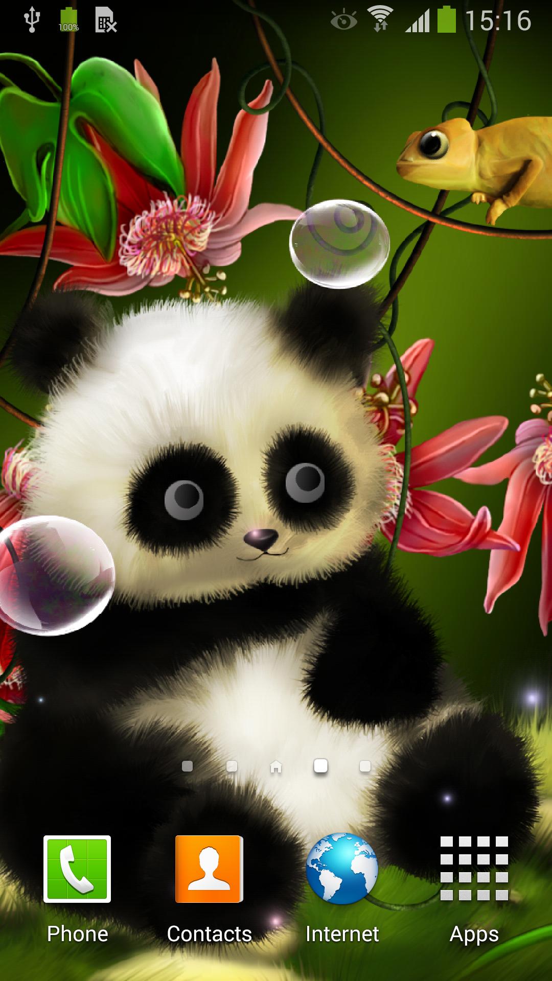 Panda Live Wallpaper