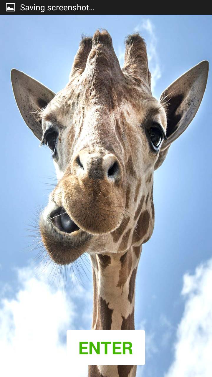 Pranks and joking Funny Videos