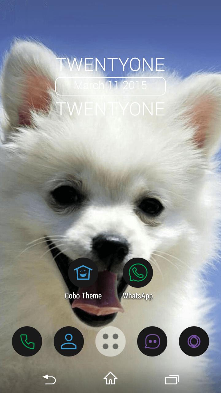 Black Beauty Icon Pack