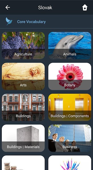 Learn Slovak. Speak Slovak. St