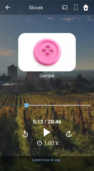 Learn Slovak. Speak Slovak. St