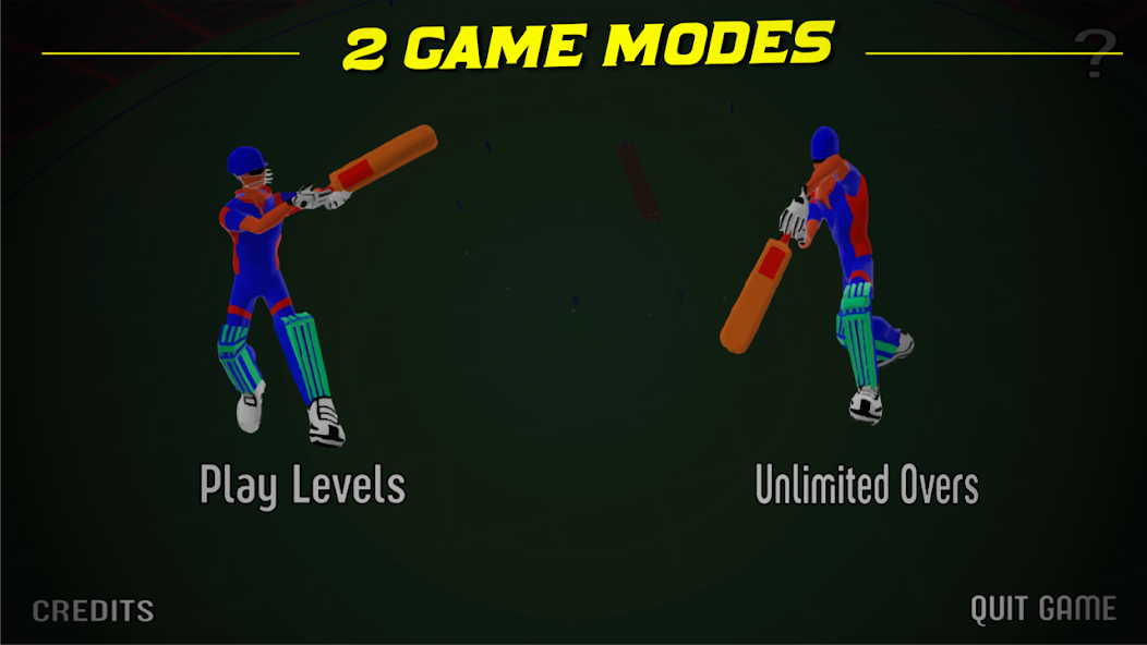 Cricket India Run Chase