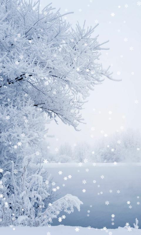 Winter Wallpaper