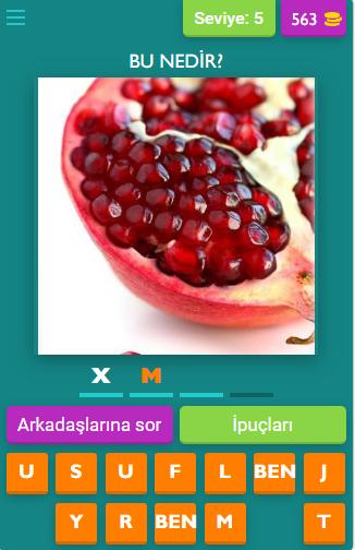 Soru Cevap Kelime Oyunu