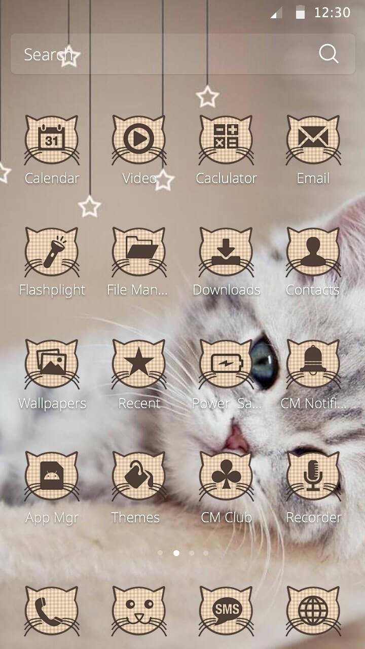 Cute Kitty Theme