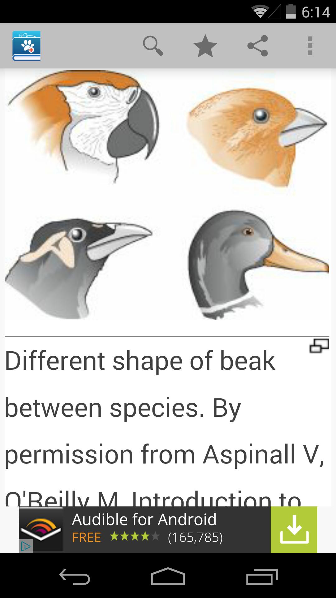 Veterinary Dictionary