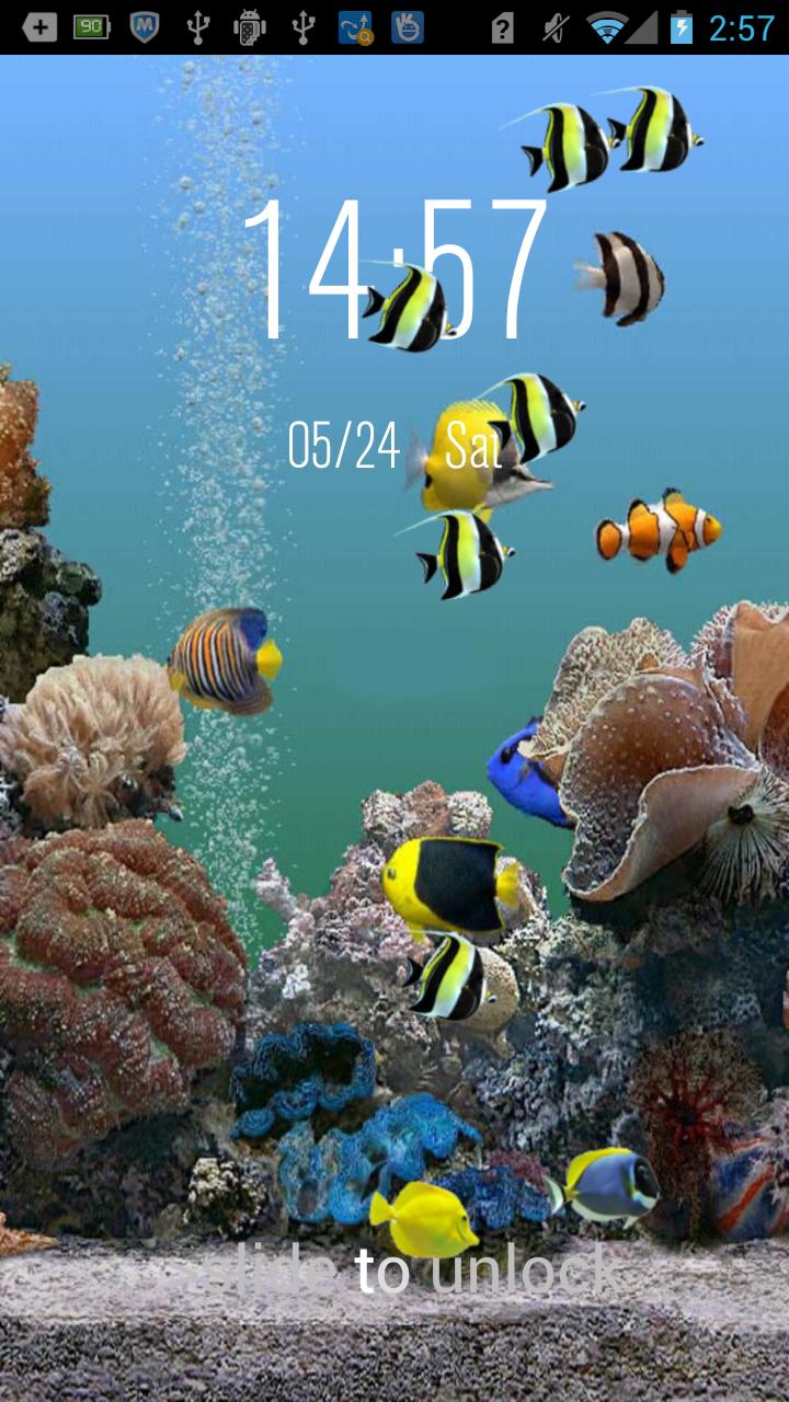 Underwater Live Lock