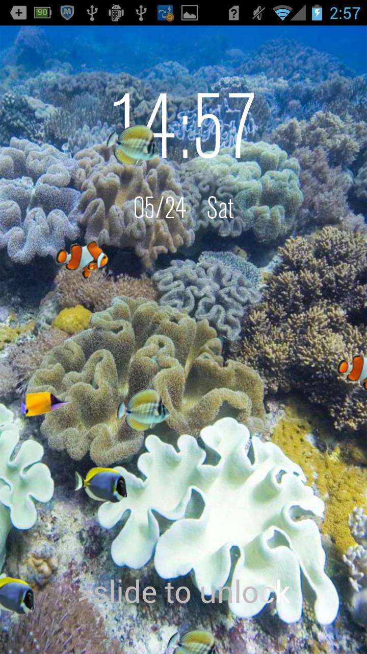 Underwater Live Lock