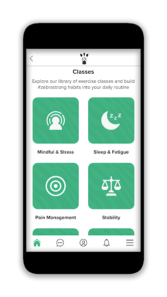 The Zebra Club subscription