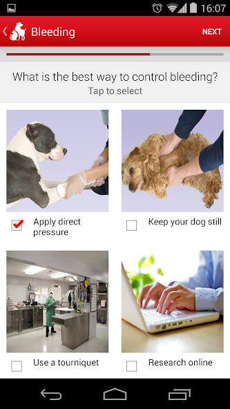 Pet First Aid