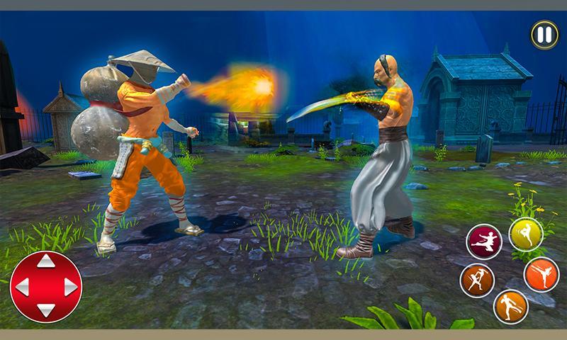 Real Kung Fu Fighting Tiger 2019