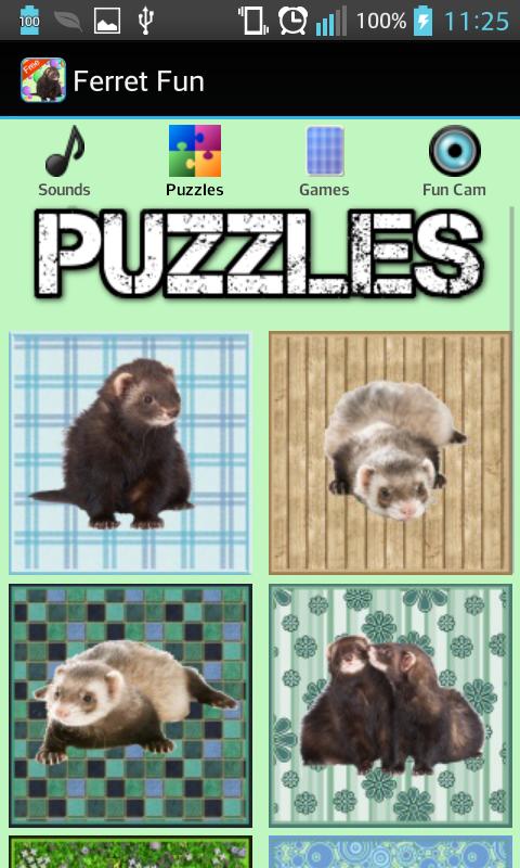 Ferret Games - Free