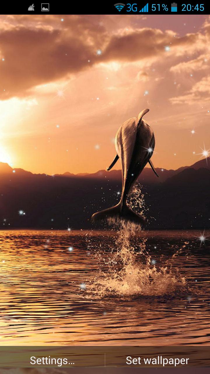 Dolphin 3D Live Wallpaper