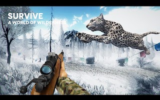 koala hunter x hunter 2016